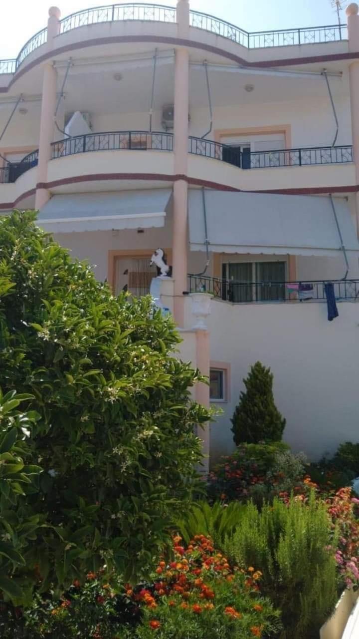 Apartments Rudi Orikum Exterior foto